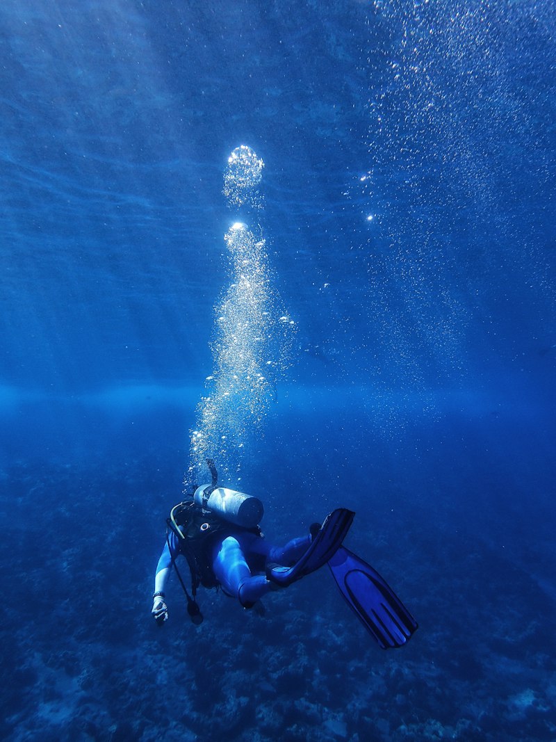 Plongeur dans l'eau bleue